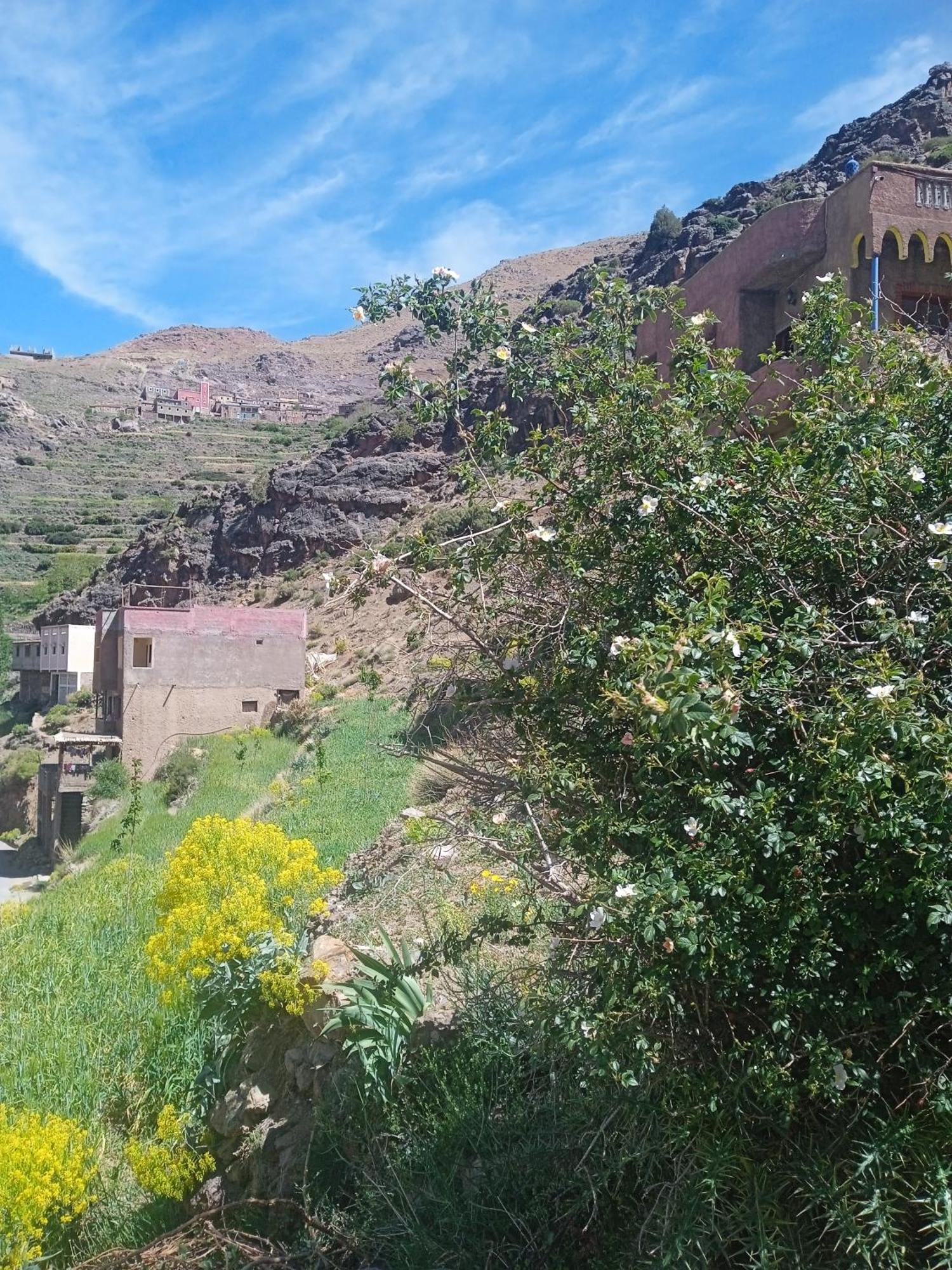 Riad Atlas Imnane อิมลิล ภายนอก รูปภาพ